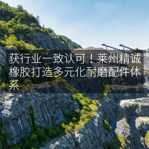 获行业一致认可！莱州精诚橡胶打造多元化耐磨配件体系