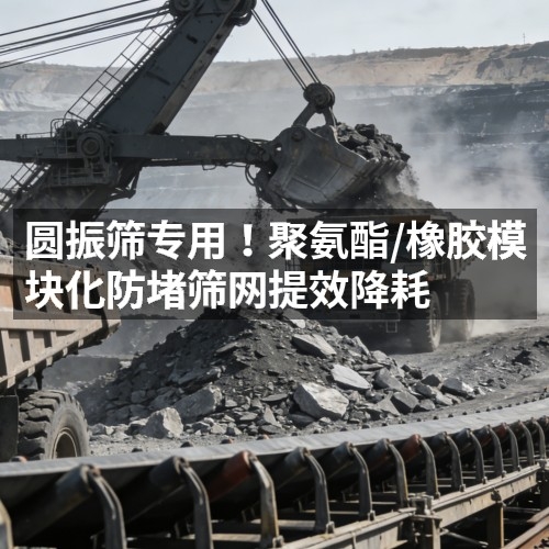圆振筛专用！聚氨酯/橡胶模块化防堵筛网提效降耗