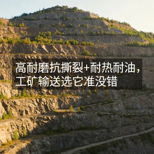 高耐磨抗撕裂+耐热耐油，工矿输送选它准没错