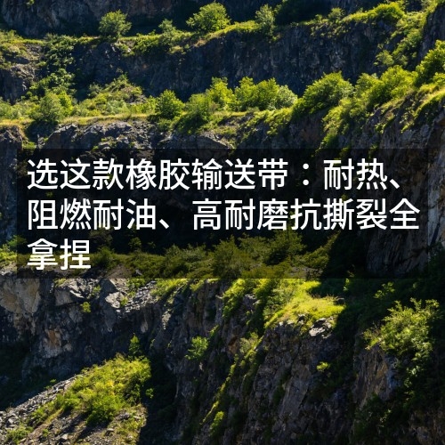 选这款橡胶输送带：耐热、阻燃耐油、高耐磨抗撕裂全拿捏