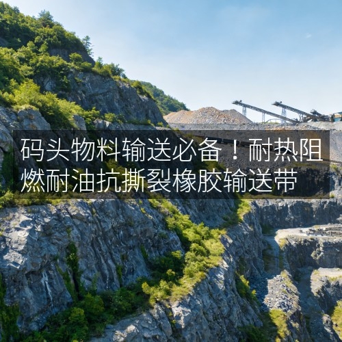 码头物料输送必备！耐热阻燃耐油抗撕裂橡胶输送带