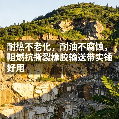 耐热不老化，耐油不腐蚀，阻燃抗撕裂橡胶输送带实锤好用