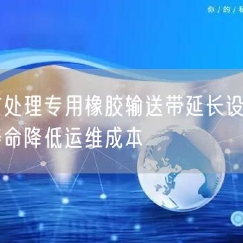 尾矿处理专用橡胶输送带延长设备使用寿命降低运维成本