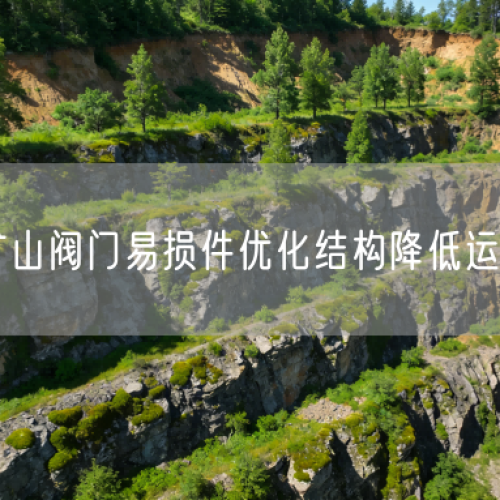 铜矿矿山阀门易损件优化结构降低运维难度
