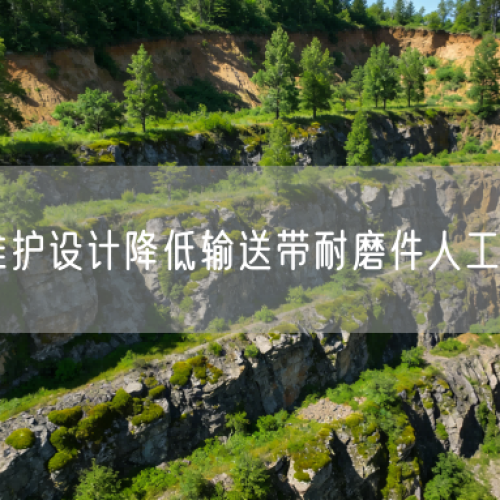 免维护设计降低输送带耐磨件人工成本